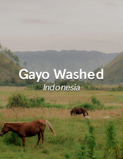 Indonesia Sumatra Gayo Washed