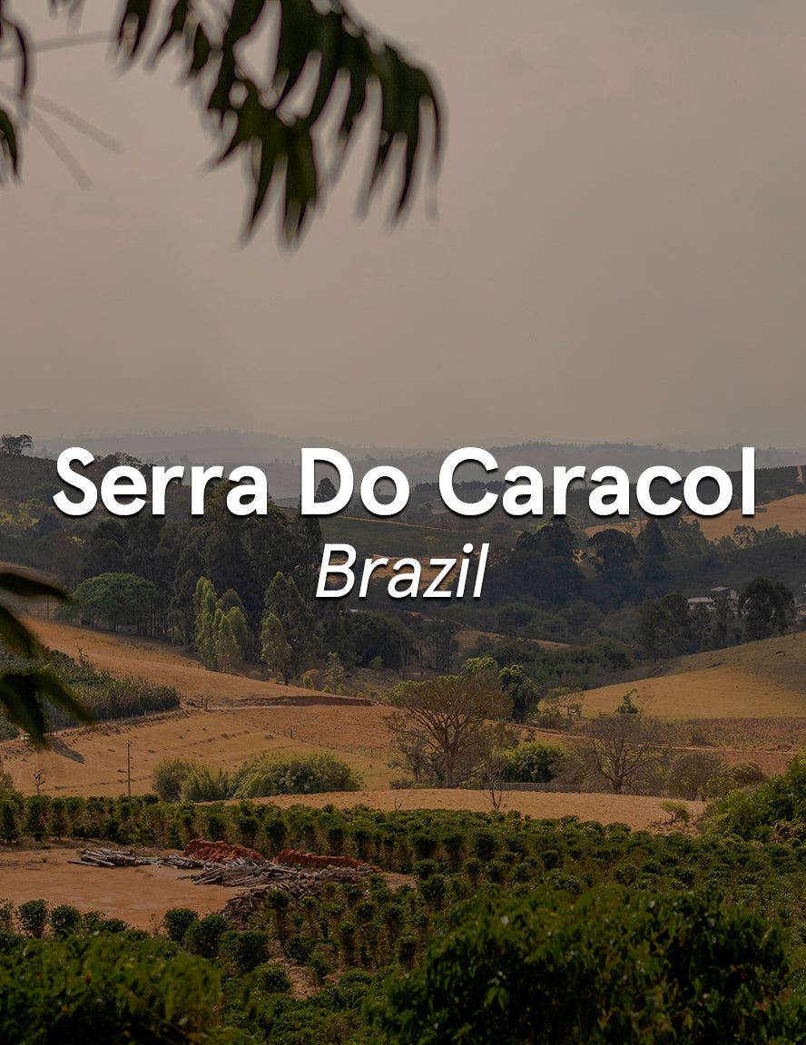 Brazil Serra Do Caracol Natural