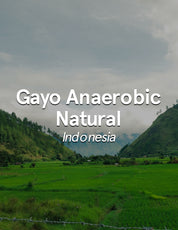 Indonesia Sumatra Gayo Anaerobic Natural