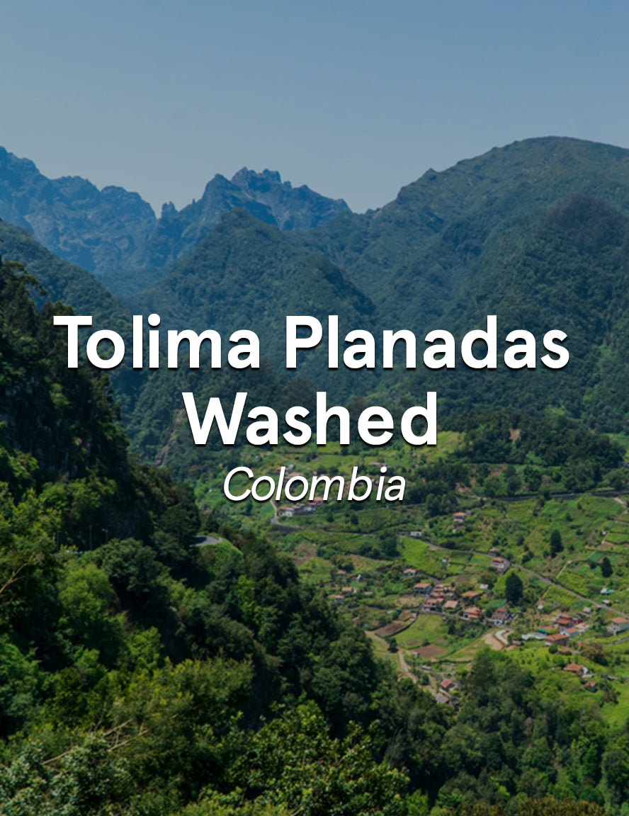 Colombia Tolima Planadas Washed