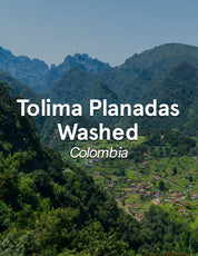 Colombia Tolima Planadas Washed
