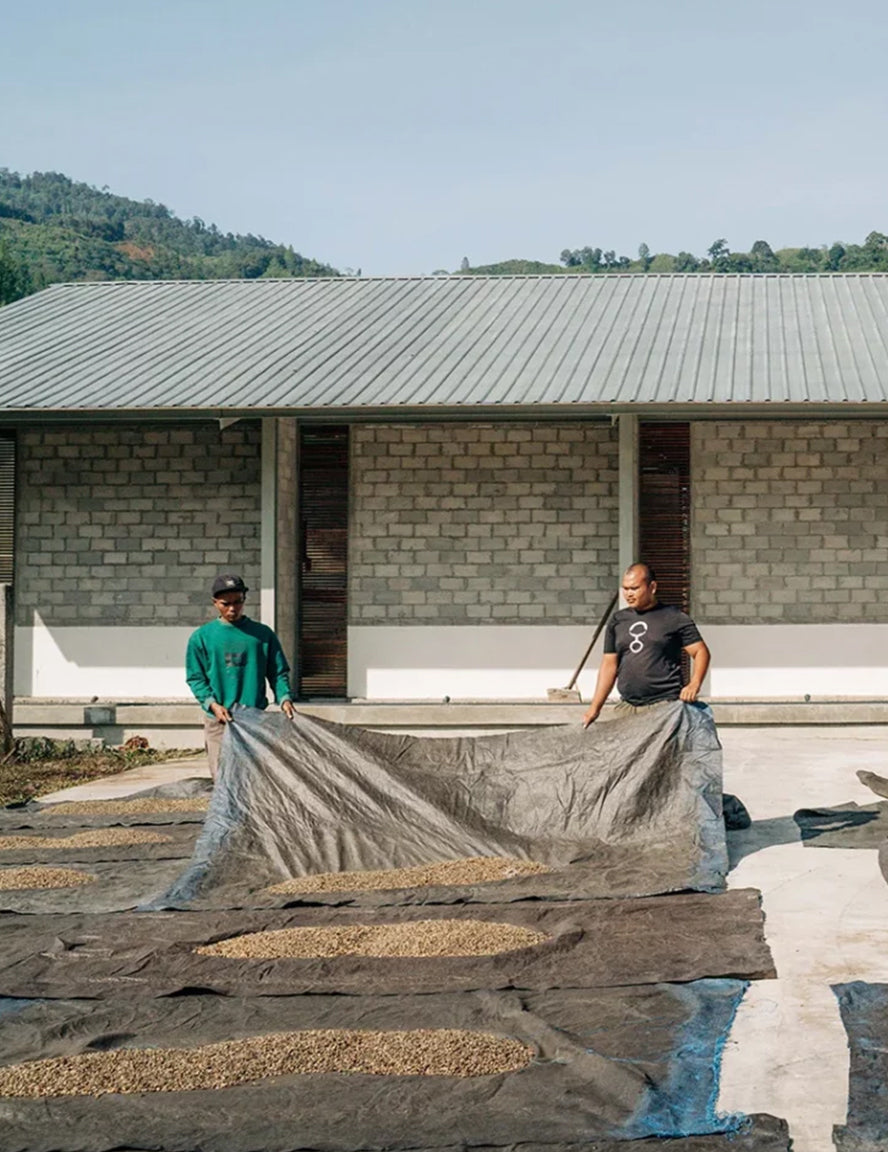 Indonesia Sumatra Gayo Washed
