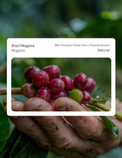 Brazil Mogiana Natural