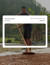 Indonesia Sumatra Gayo Washed
