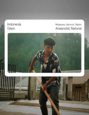 Indonesia Sumatra Gayo Anaerobic Natural