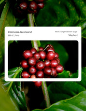Indonesia Java Garut Washed