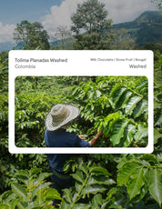 Colombia Tolima Planadas Washed