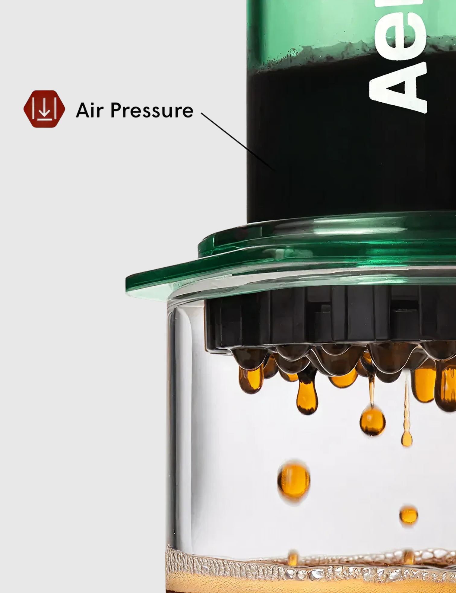 AeropressCoffeeMakerClearGreen-2.png