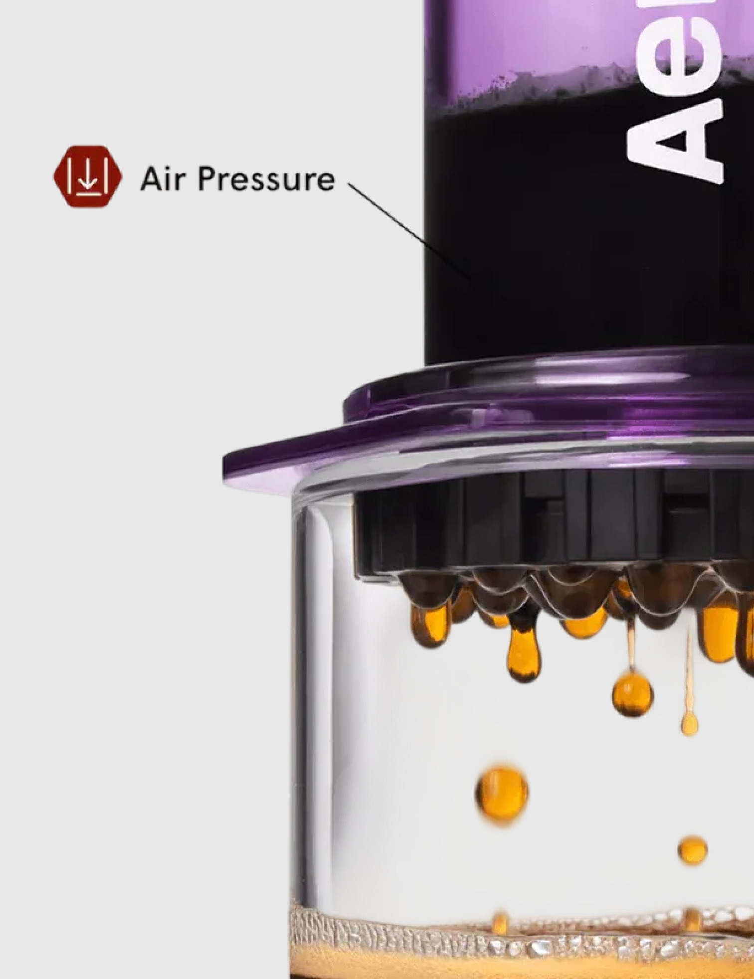 AeropressCoffeeMakerClearPurple-4.png