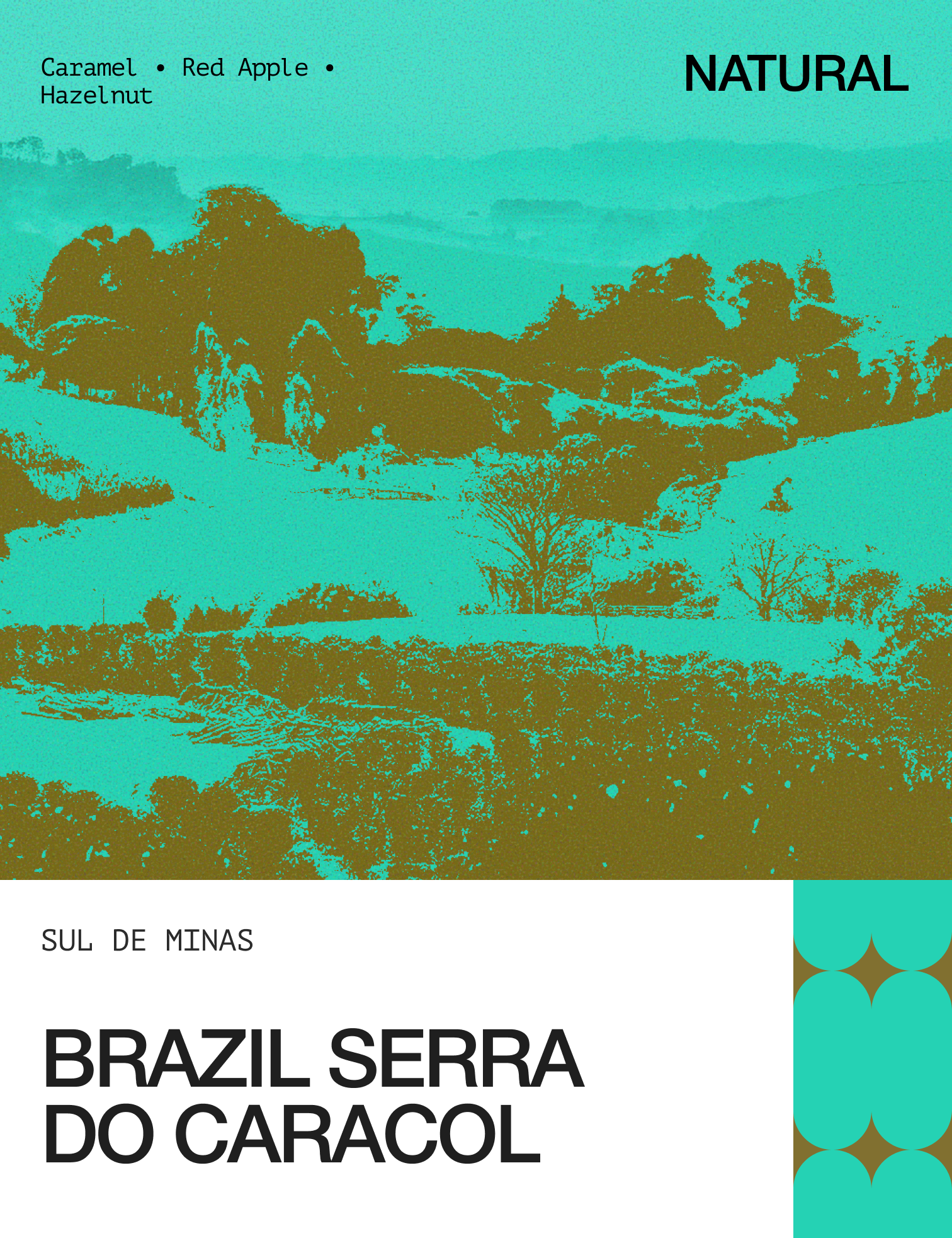 BBrazil_Serra_do_caracol_-_5.png