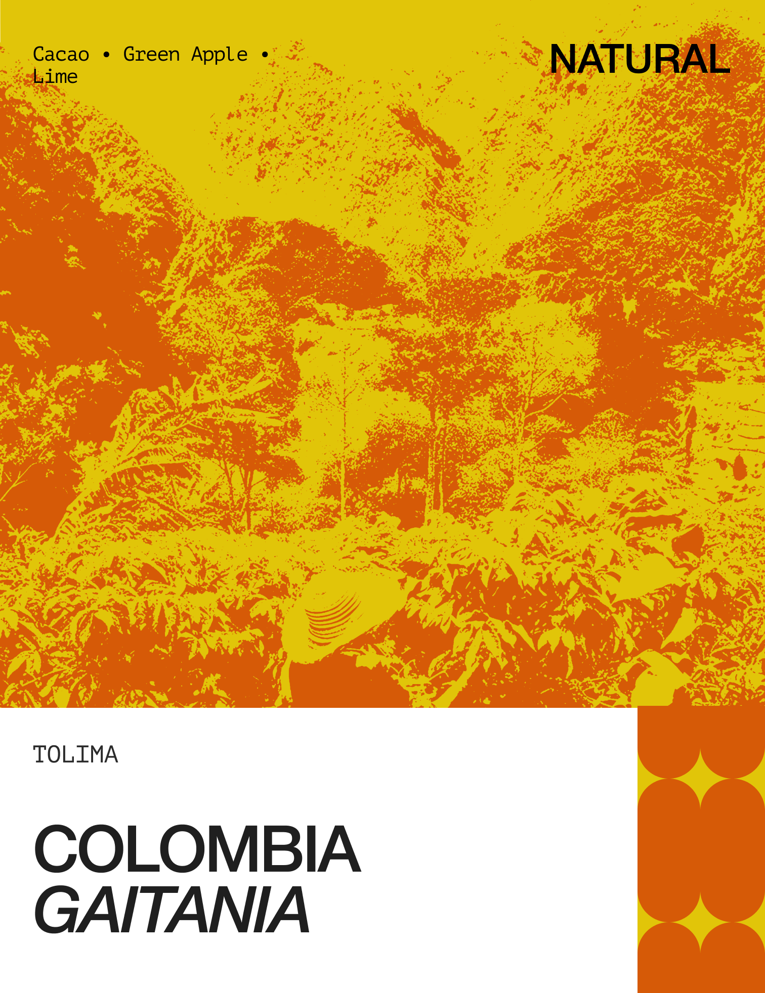 ColombiaGaitaniaTolima-1.png