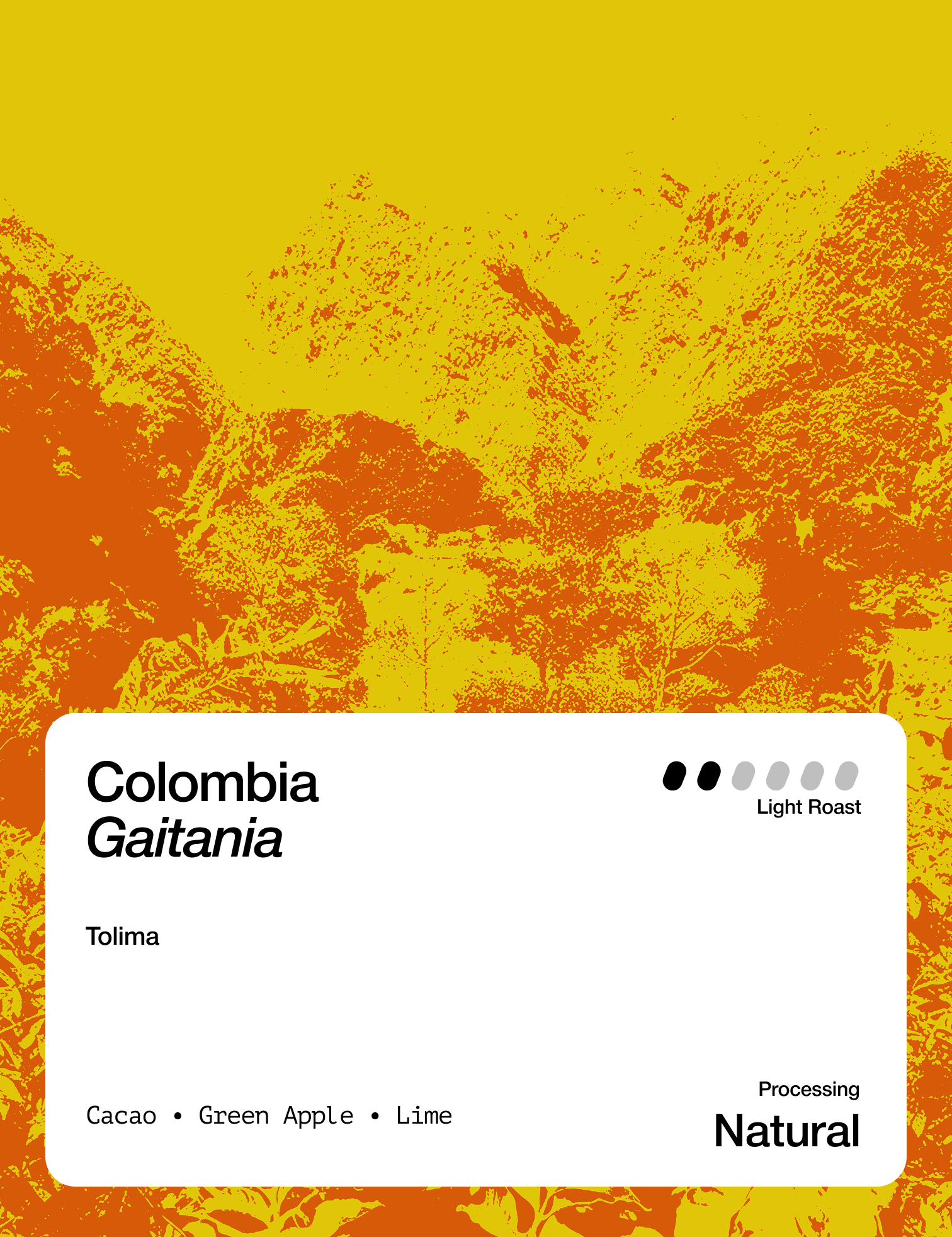 ColombiaGaitaniaTolima-2.png