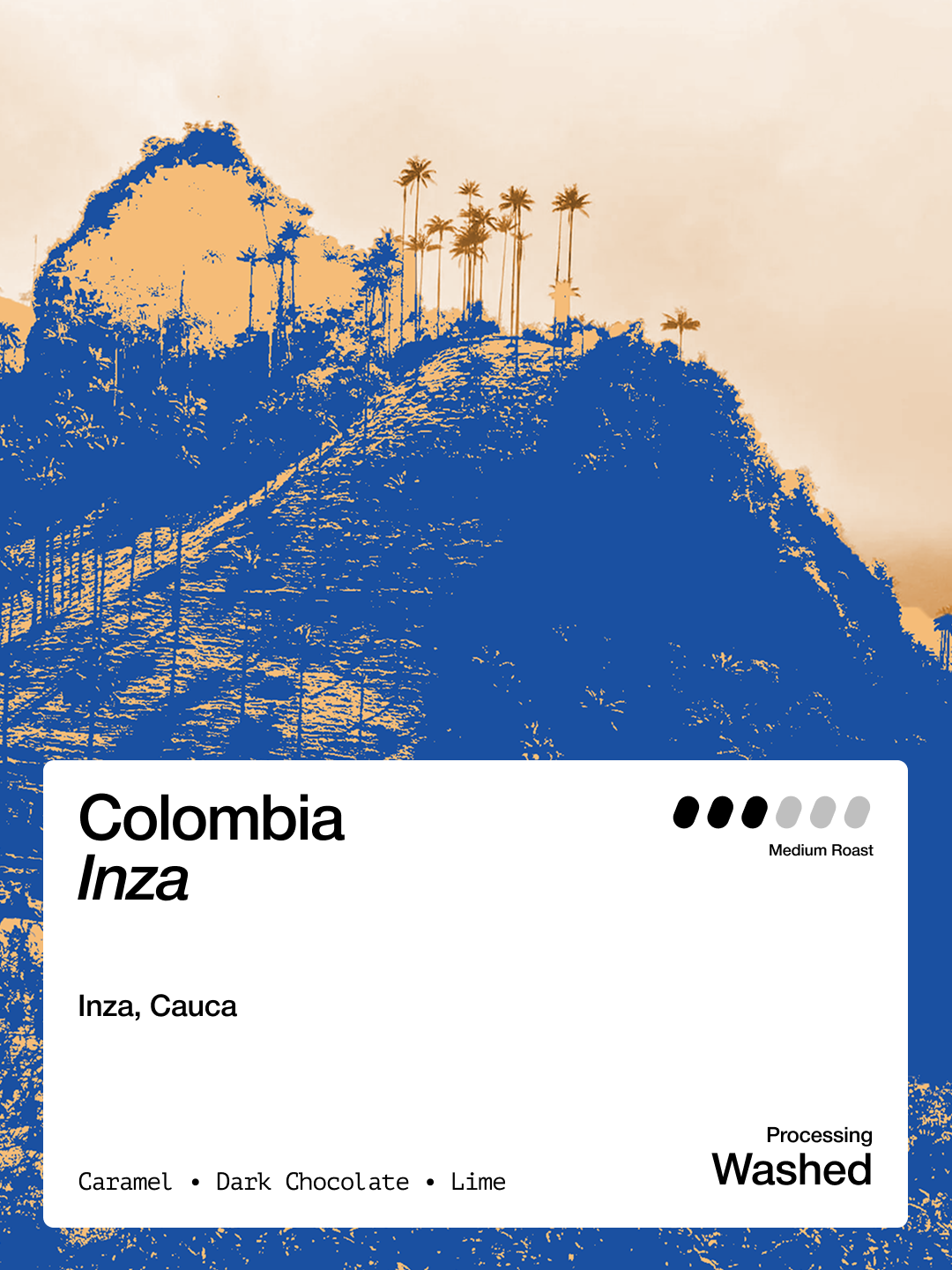 Inza Rani Colombia Inza – Nomad Coffee Studio