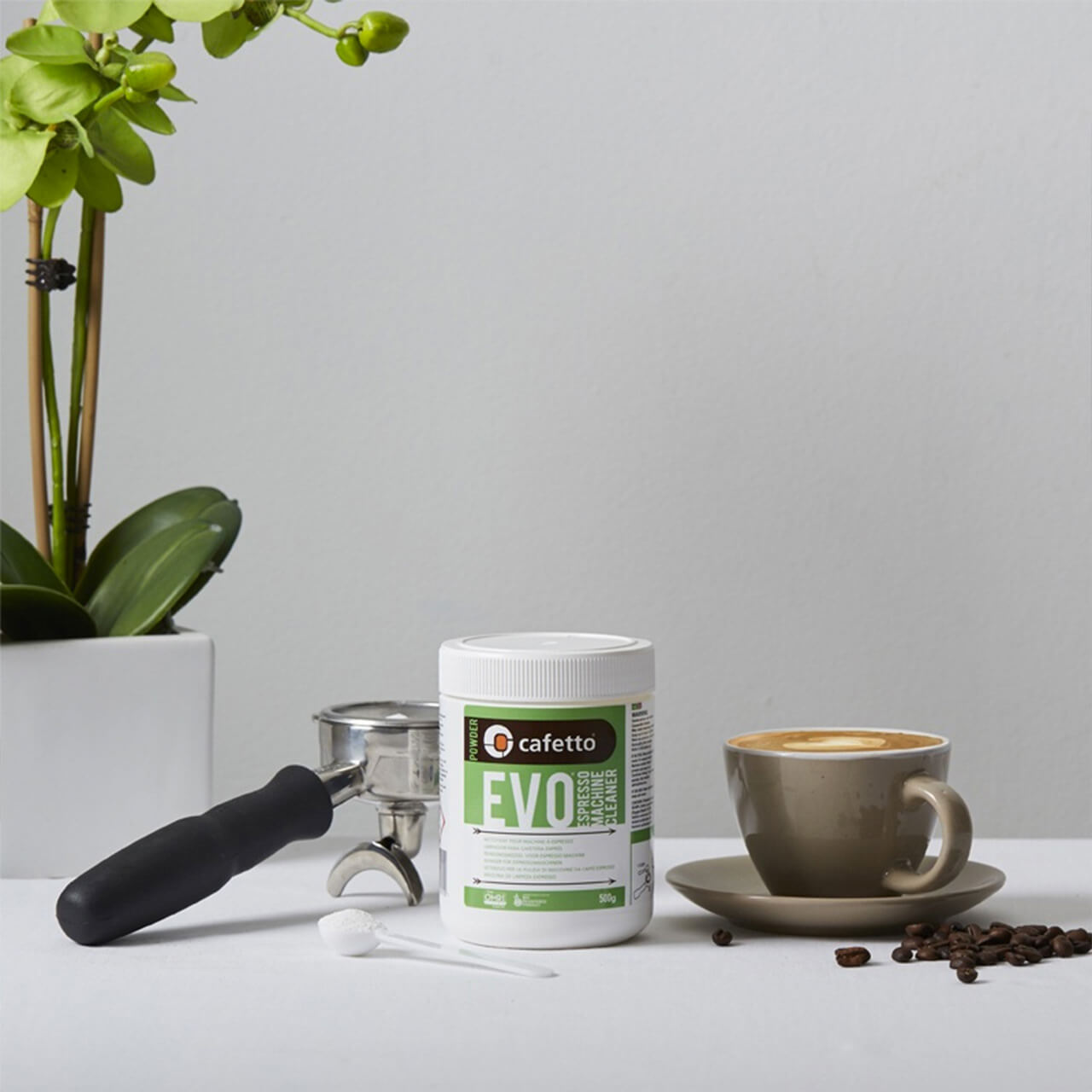 Cafetto EVO Espresso Machine Cleaner 500g