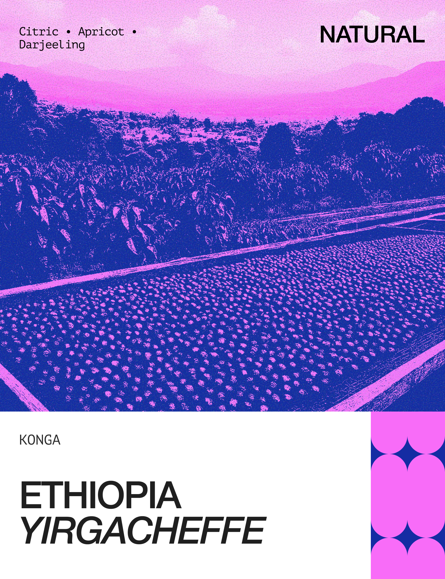 Ethiopia_Yirgacheffe_Konga_-_1.png
