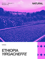 Ethiopia Yirgacheffe Konga