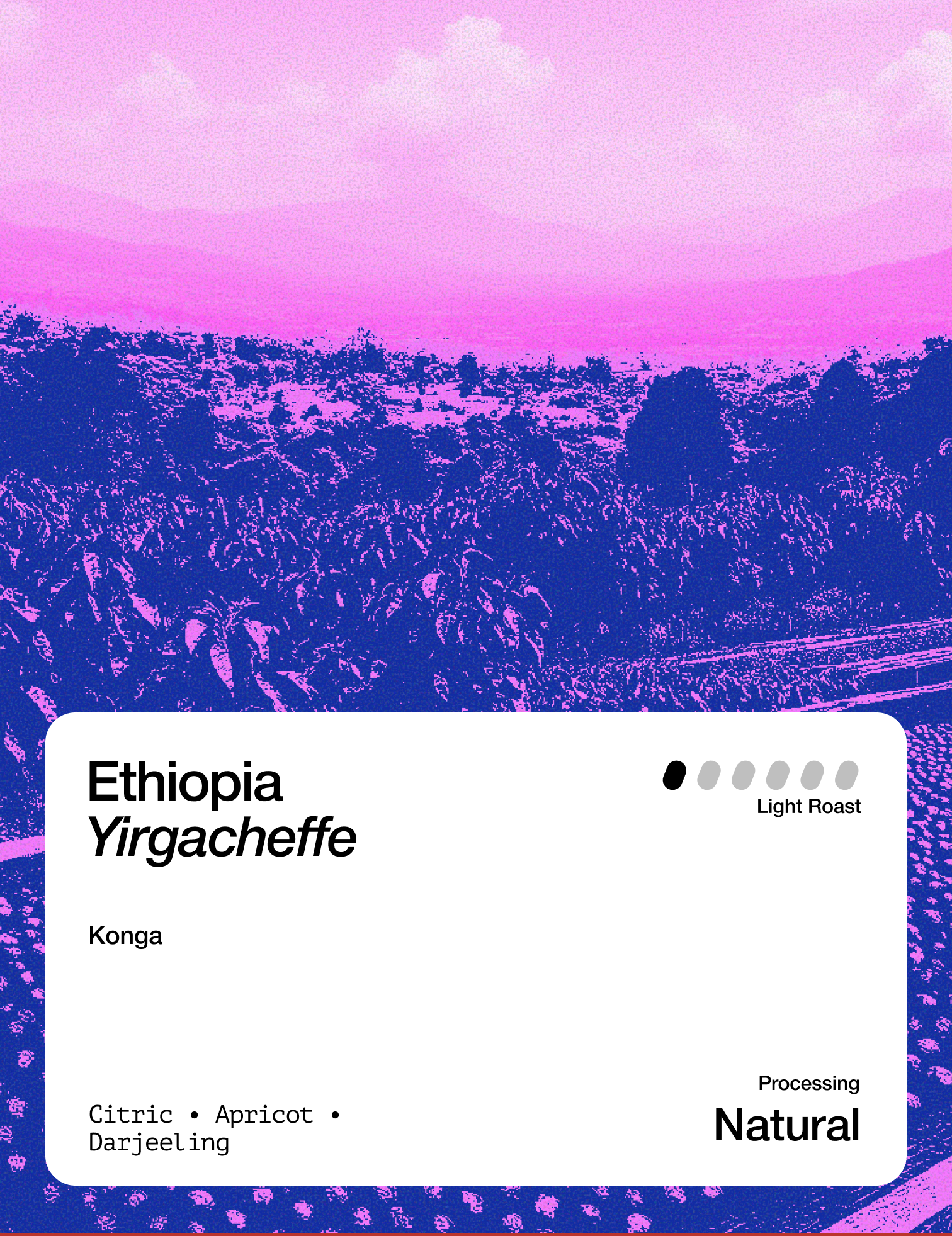 Ethiopia_Yirgacheffe_Konga_-_web.png
