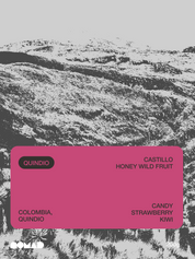 Colombia Honey Wild Fruit