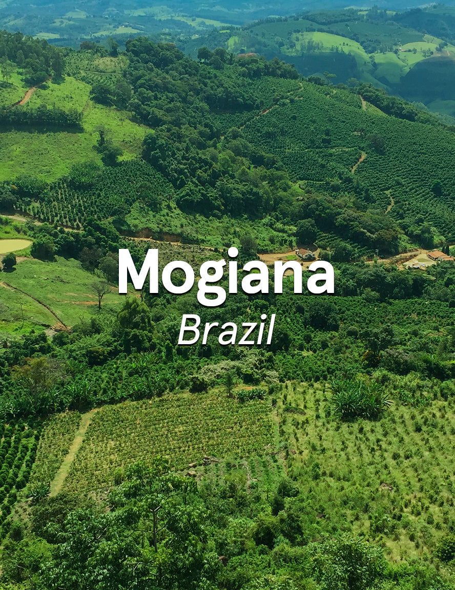 Mogiana-Brazil-Thumbnail.jpg