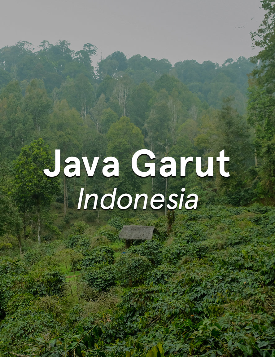 Indonesia Java Garut Washed