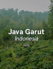 Indonesia Java Garut Washed